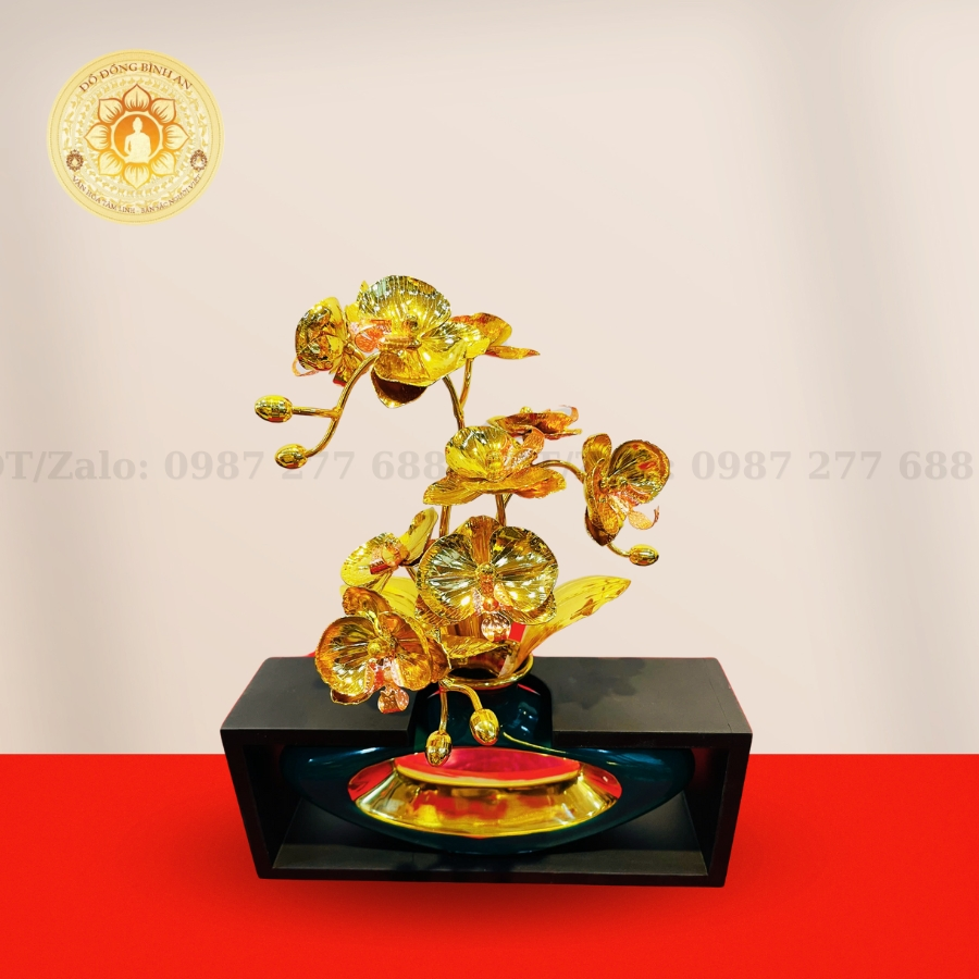 Mua Hoa Lan Mạ Vàng 24K