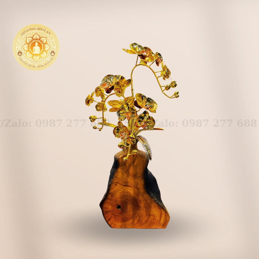 Bình Lan Thân Gỗ 2 Cành Mạ Vàng