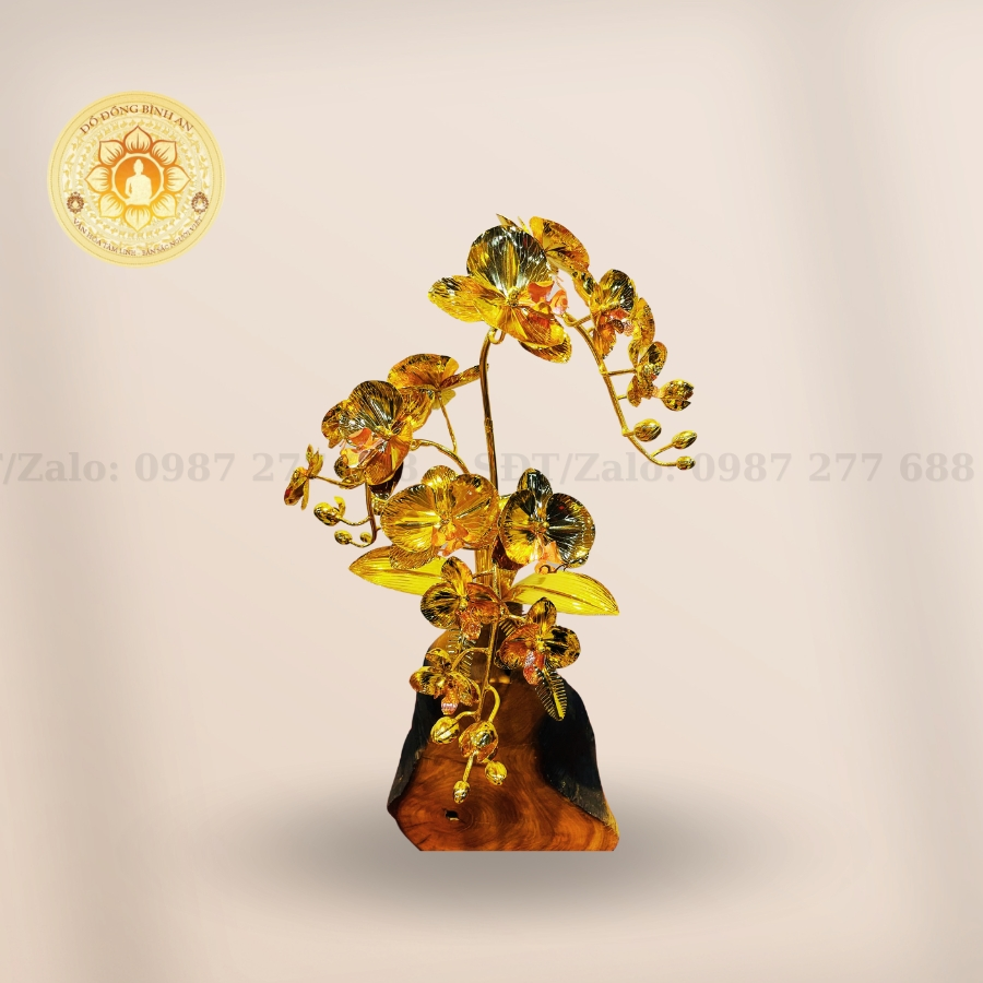 Bình Lan Thân Gỗ 2 Cành Mạ Vàng